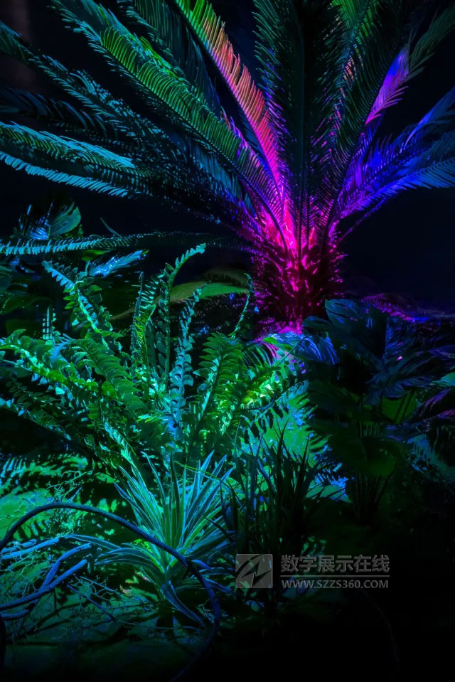 3D MappingƷNeural Network Forest