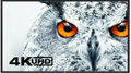 IIr  NEC 4Kϵд@ʾذu