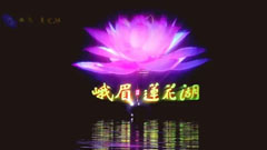Մ밸 | üɽɏ5DȫϢˮ